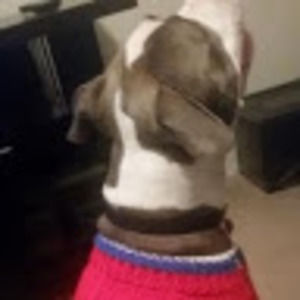 Meet your Posher, Patty